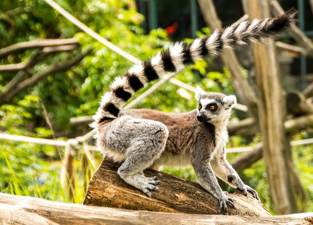 Madagascar Hike And Sailing