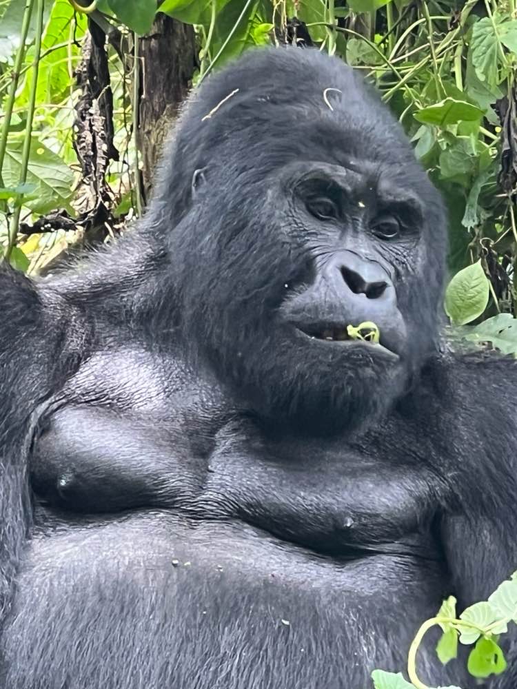 Uganda