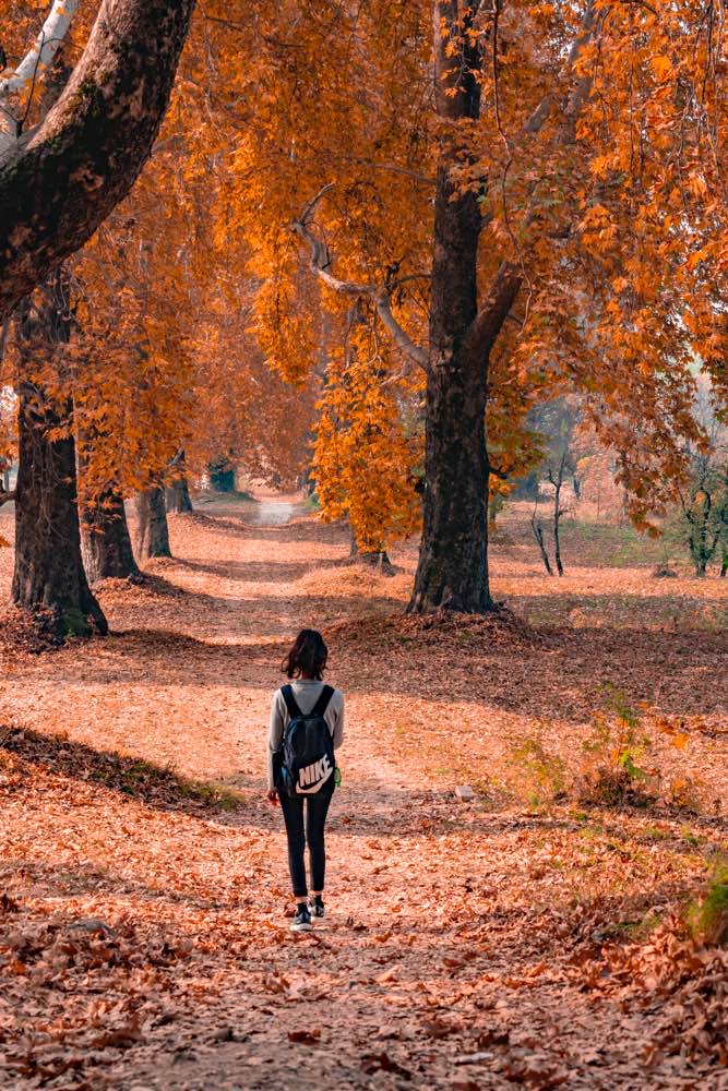 Ultimate Kashmir Itinerary