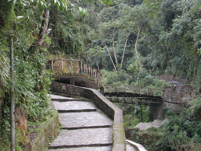 Lets go! Peru Amazon