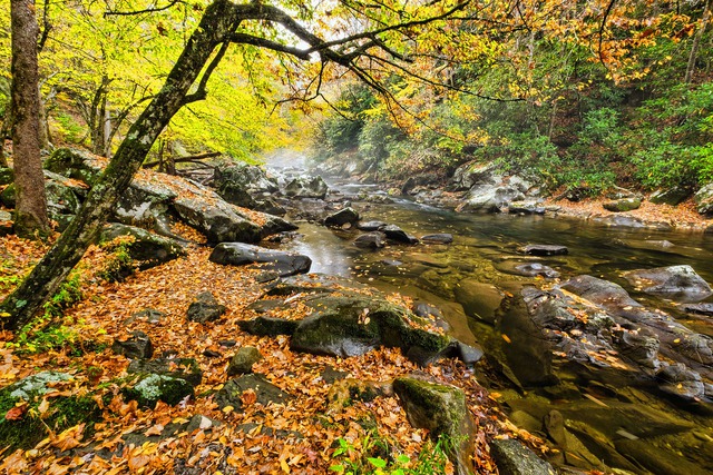 Smoky Mountains National Park