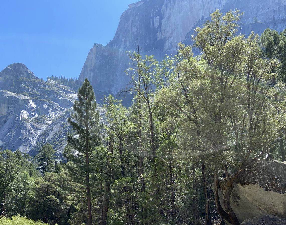 Yosemite Daytrip!