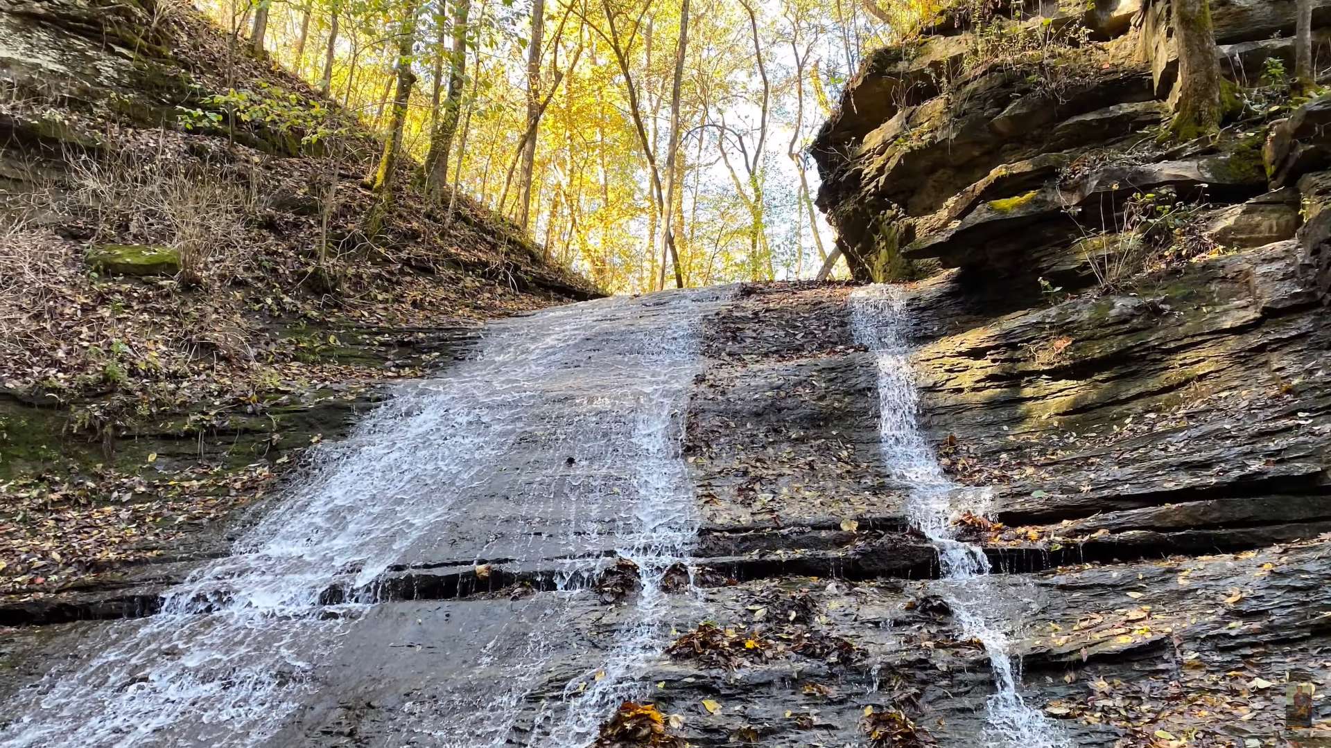 Natchez Trace Parkway