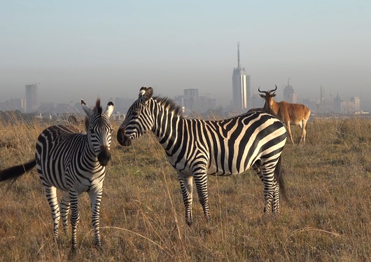 Kenya