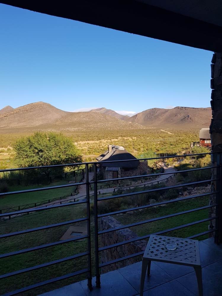South African Safari