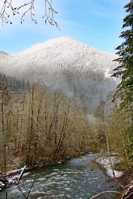 Olympic Peninsula Road Trip