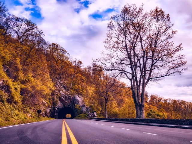 Shenandoah Experience