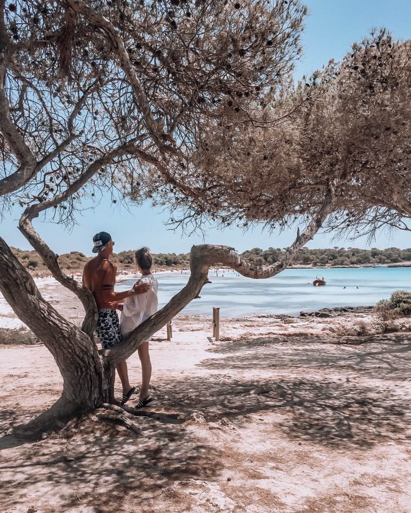 Discover Menorca in 6 days 
