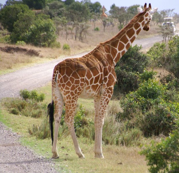 Kenya