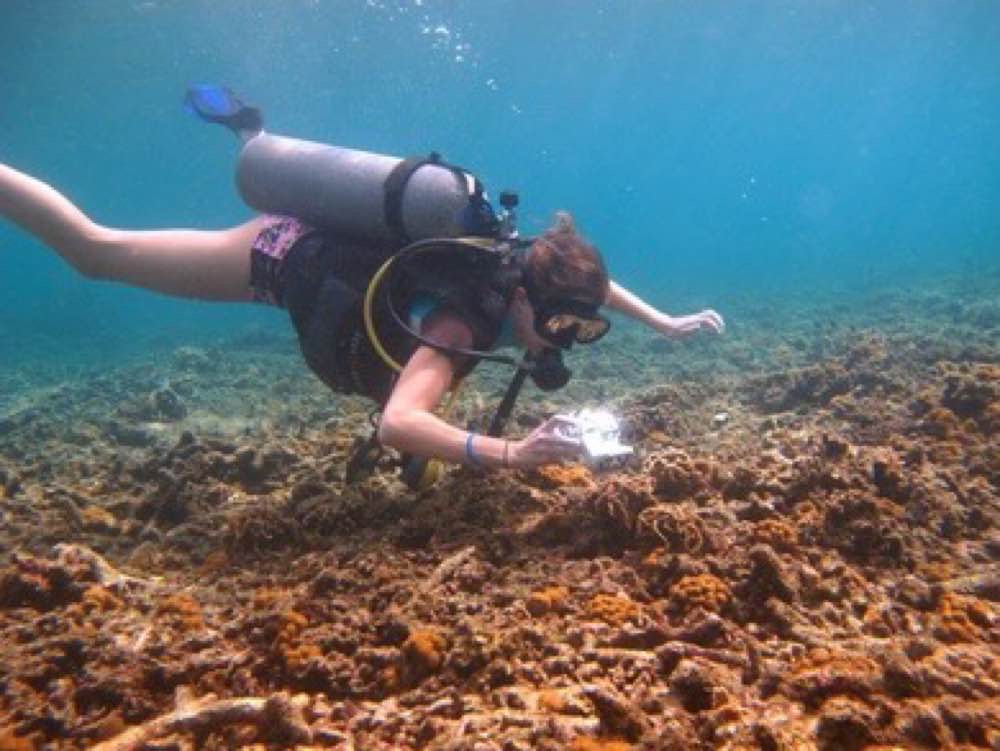Affordable Thailand Trip