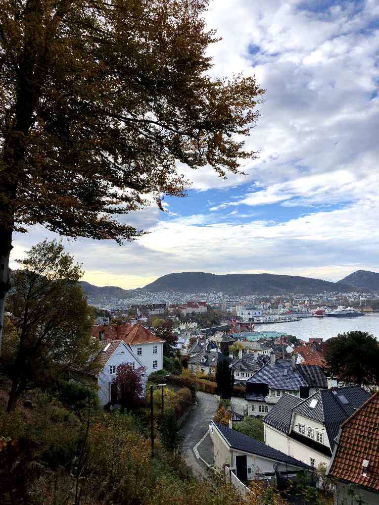 Bergen, Bergen