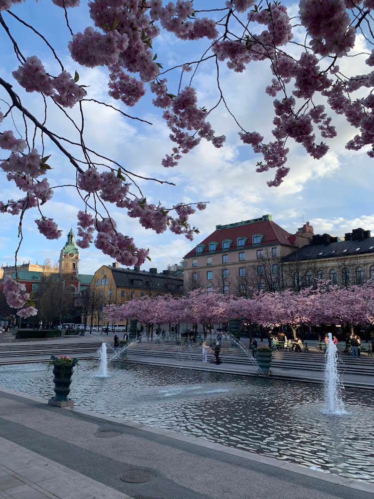 Stockholm, Kungsträdgården
