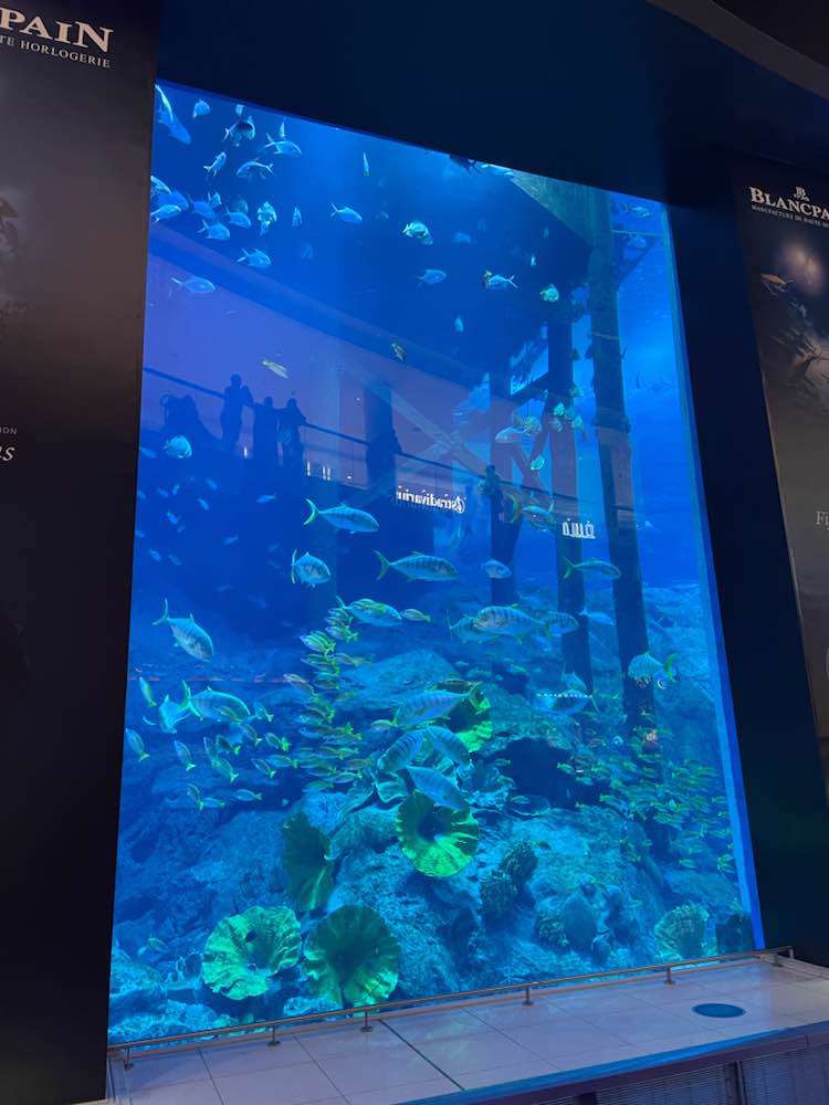Dubai, Dubai Aquarium (حوض دبي للأسماك)