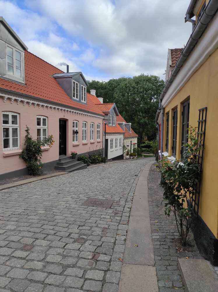 Odense, Odense