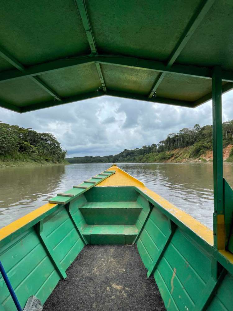 Unknown, Amazon River