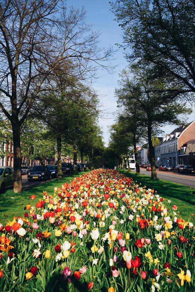 Haarlem, Haarlem