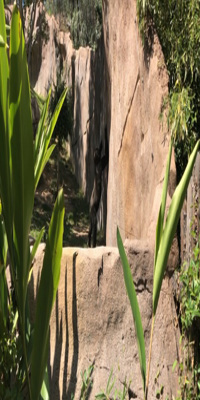 San Diego, San Diego Zoo Safari Park