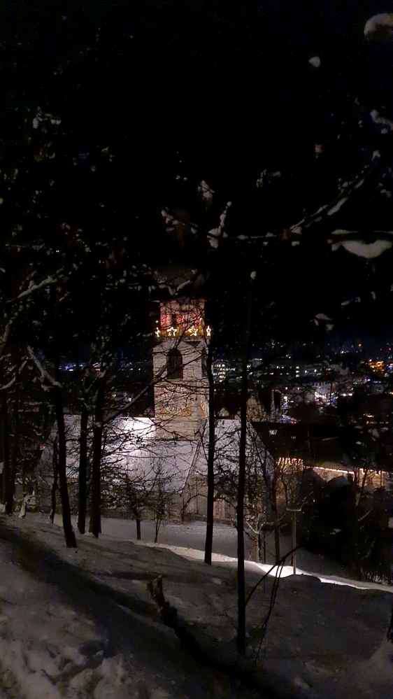 Brunico, Bruneck Castle