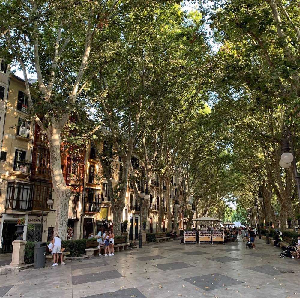 Barcelona, Passeig del Born