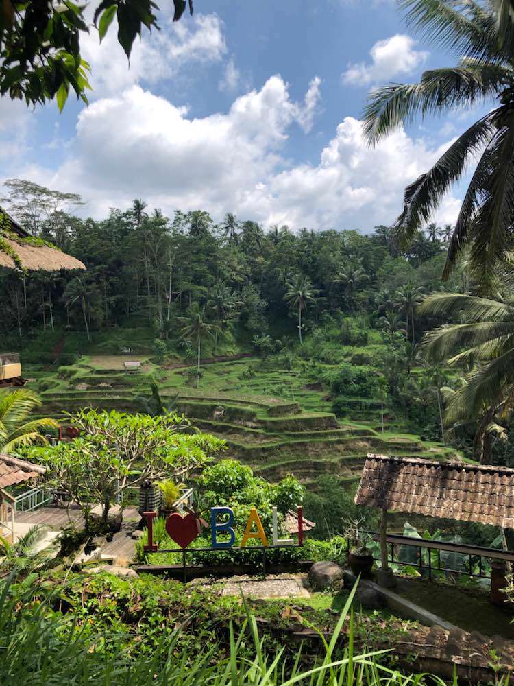 Kabupaten Gianyar, Tegallalang Rice Terrace
