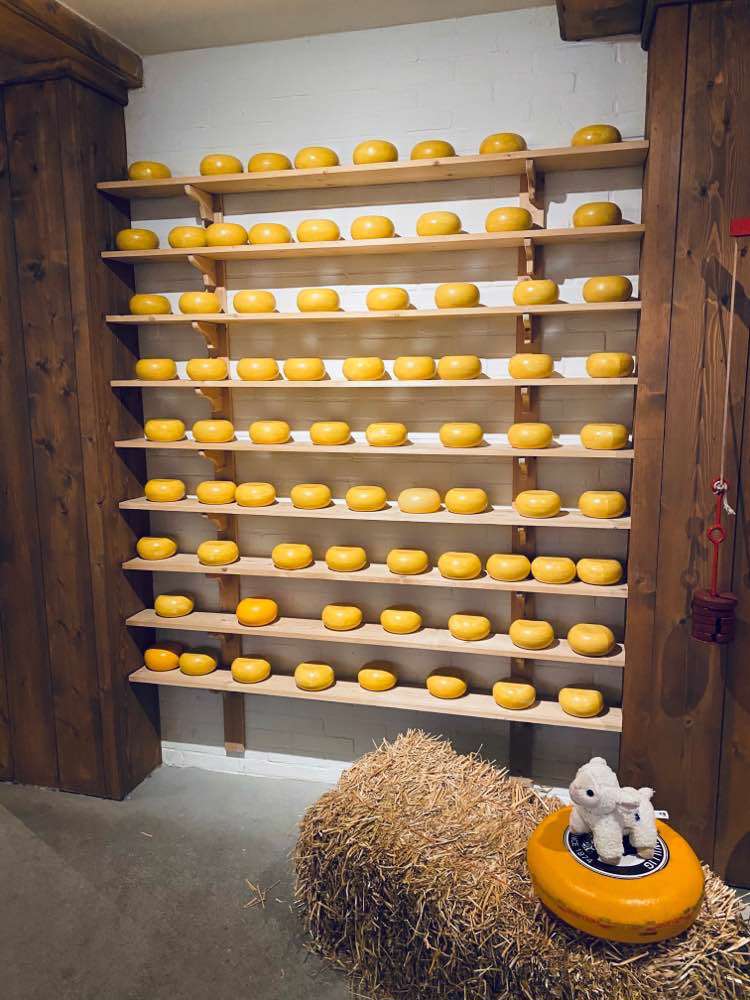 Amsterdam, Amsterdam Cheese Museum