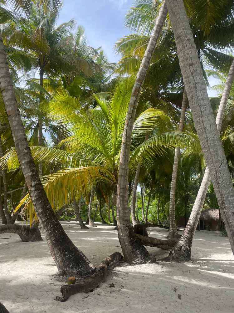 Dominican Republic