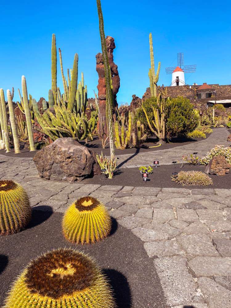 Guatiza, Jardín de Cactus | CACT Lanzarote