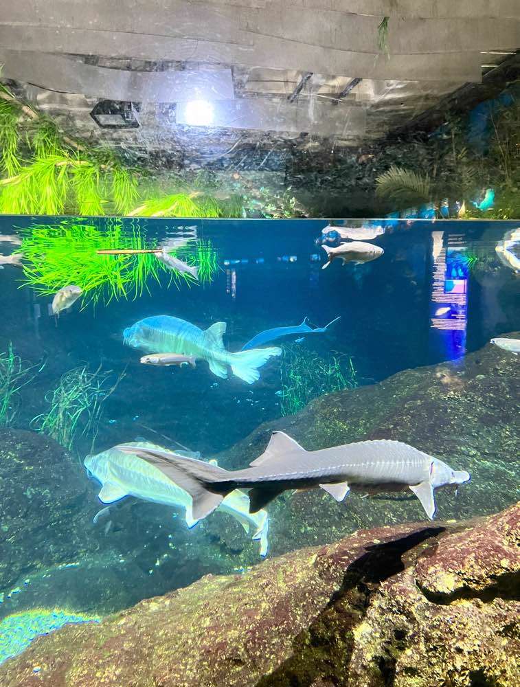 Barcelona, Aquarium Barcelona