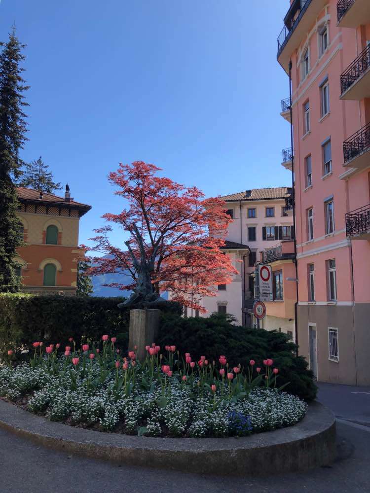 Lugano, Lugano