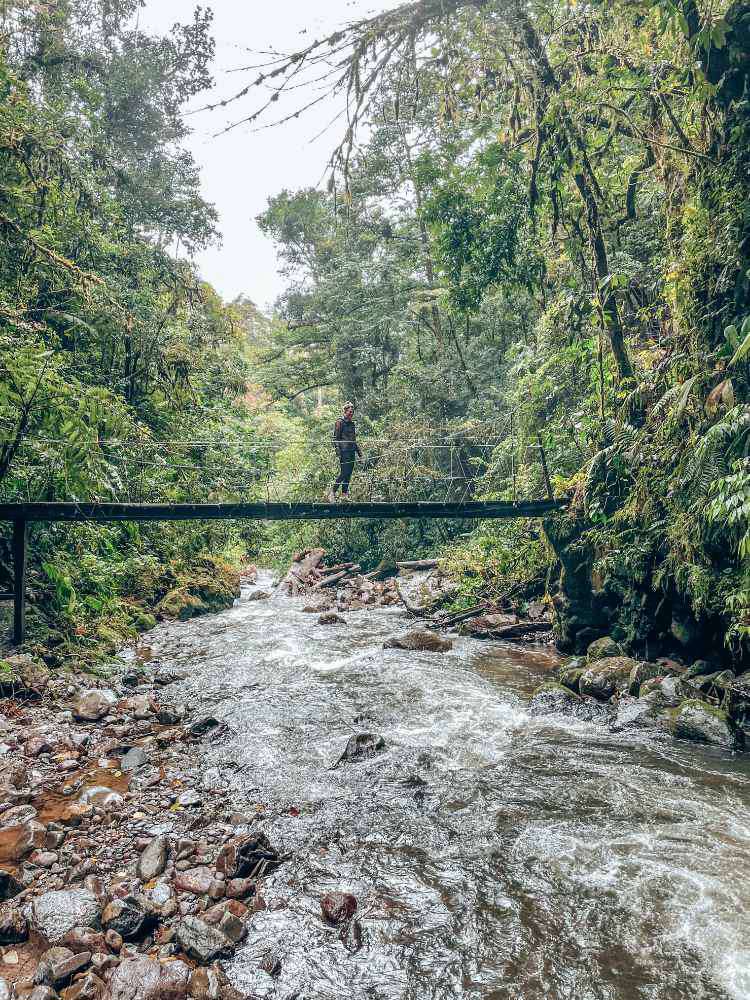 Monteverde , El Tigre Waterfalls Monteverde