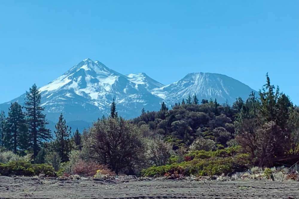 Mount Shasta, Seven Suns Coffee & Cafe