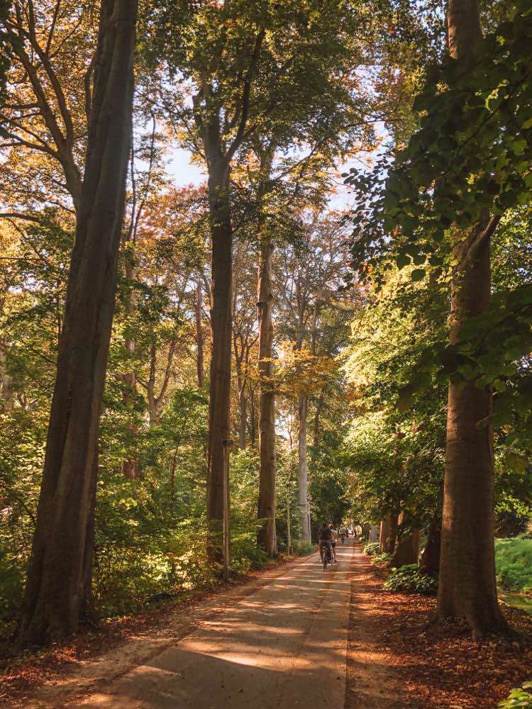 Leuven, Kasteelpark Arenberg