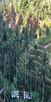 Gianyar, Tegallalang Rice Terraces