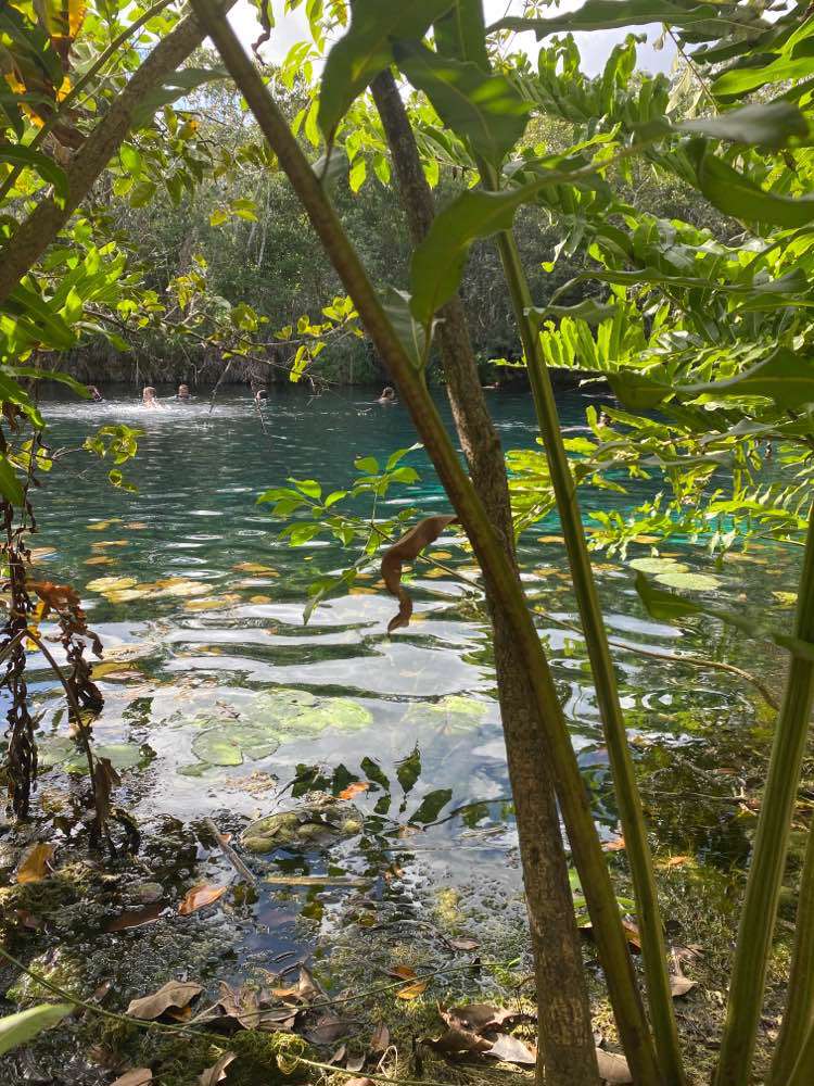 Tulum, Cenote Zacil-Ha
