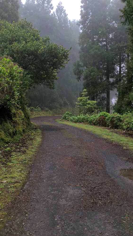 Ponta Delgada, Reserva Florestal de Recreio da Chã da Macela