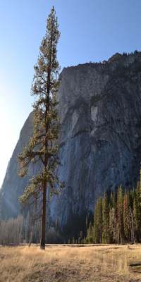 Yosemite National Park, Biking Yosemite