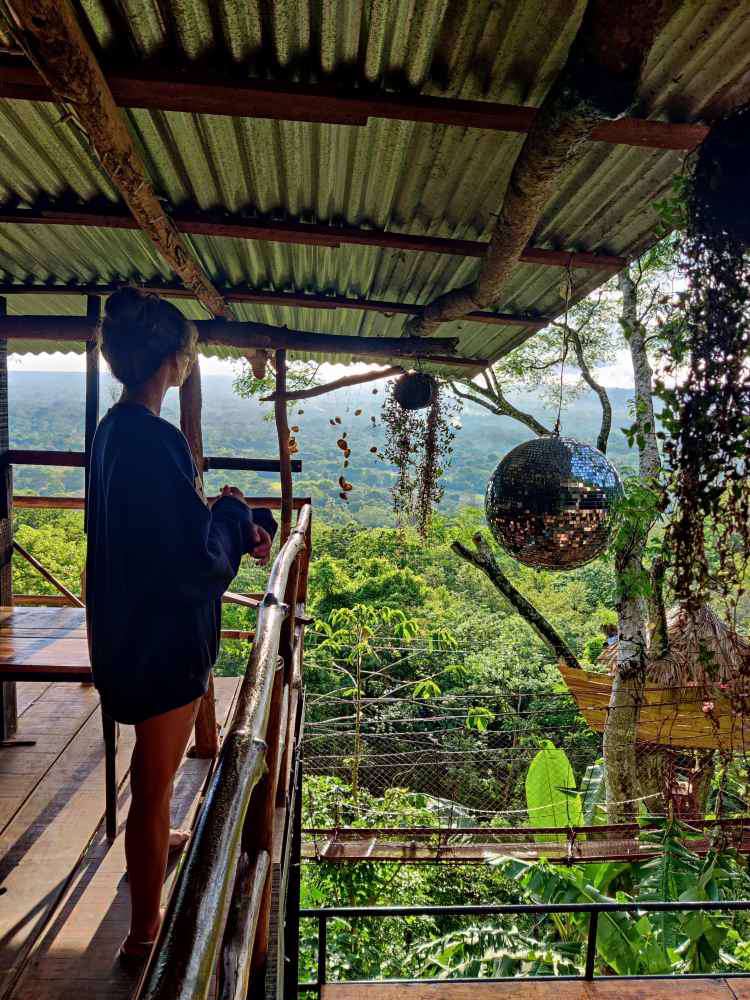Granada, Treehouse Nicaragua