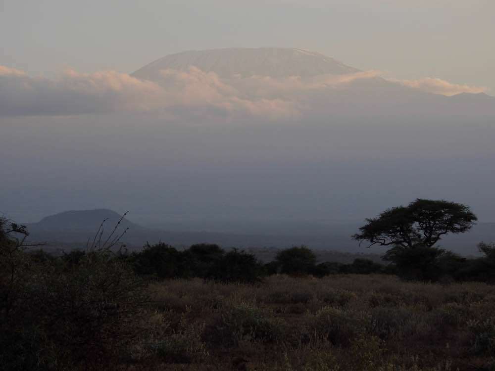 Mount Kilimanjaro, Kilimanjaro