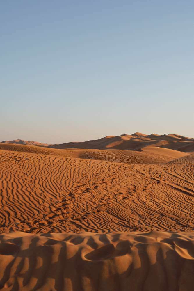 Safari in the Desert 🐪, Red Sand Dunes Safari