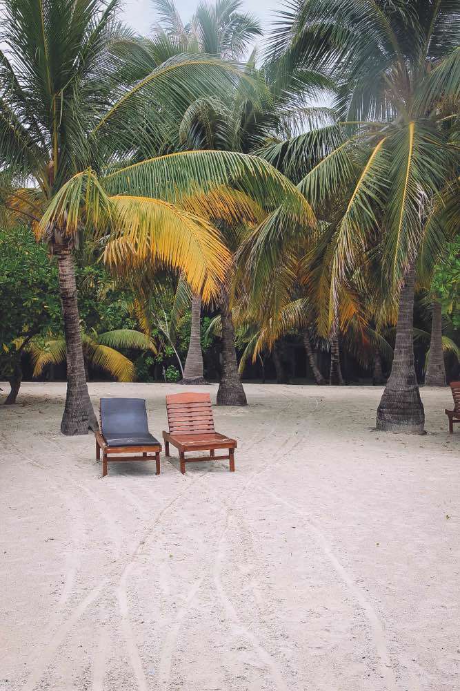 , Paradise island resort