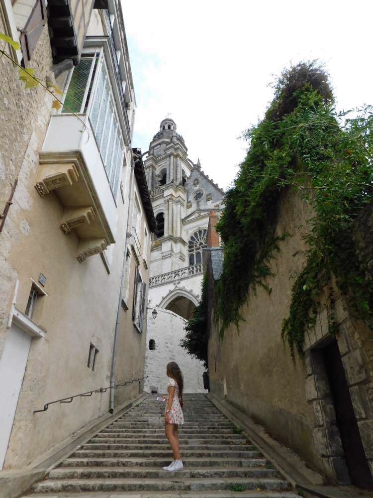 Blois, Blois