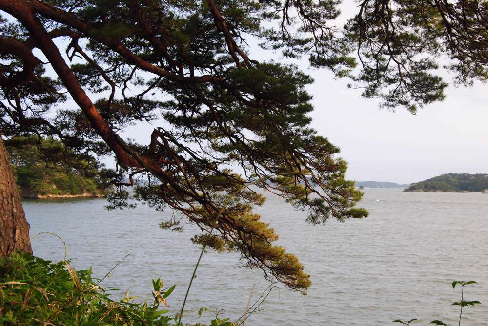 Matsushima, Matsushima