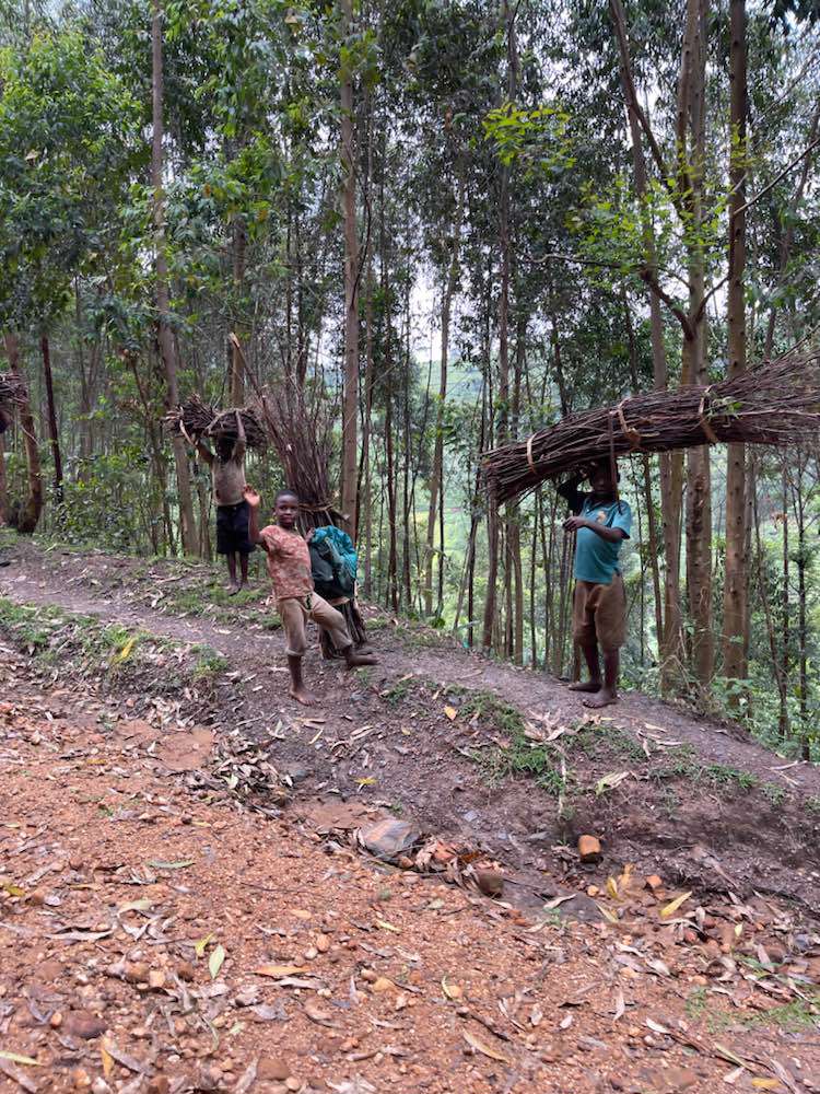 Kisoro, Bwindi Impenetrable Forest