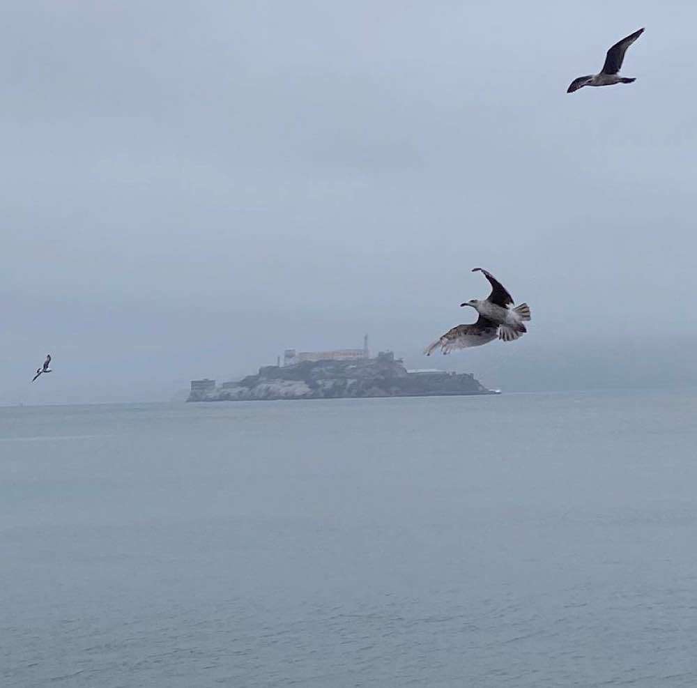 San Francisco, Alcatraz City Cruises
