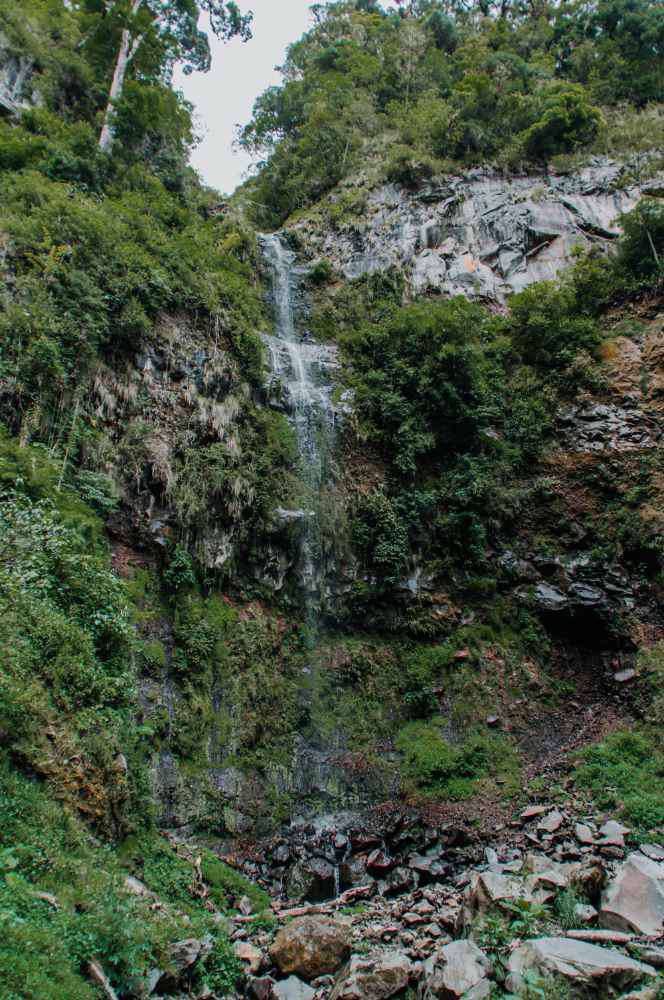 Boquete, Pipeline Trail (Waterfall)