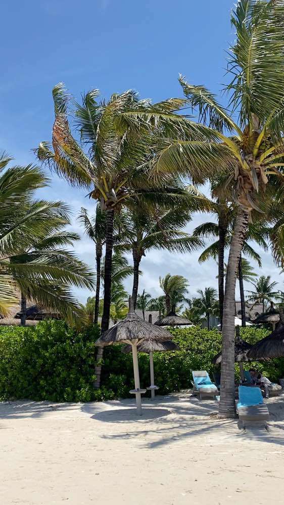 Quatre Cocos, LUX Belle Mare Resort & Villas