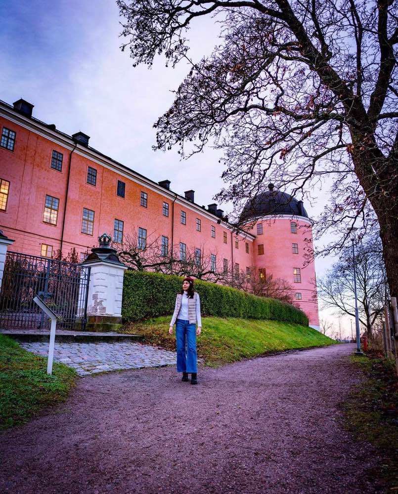 Uppsala, Uppsala Castle
