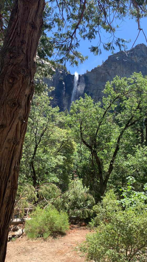 Yosemite National Park, Bridalveil Falls