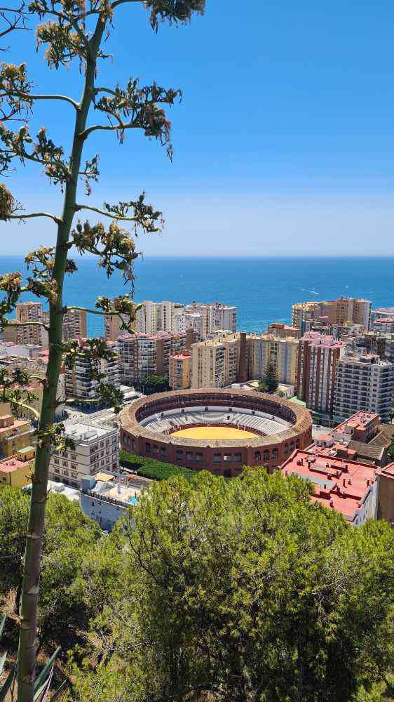 Málaga, Málaga