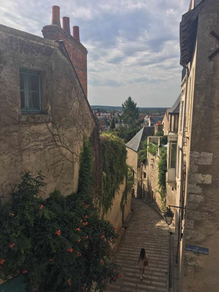 Blois, Blois